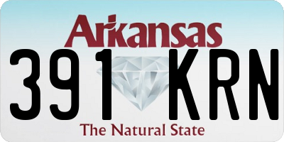 AR license plate 391KRN