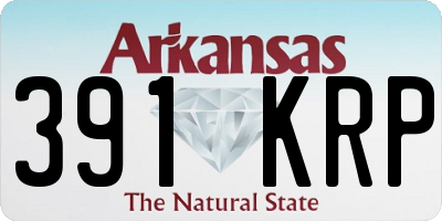 AR license plate 391KRP