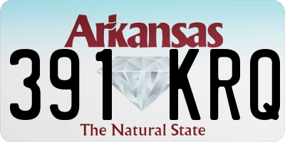 AR license plate 391KRQ