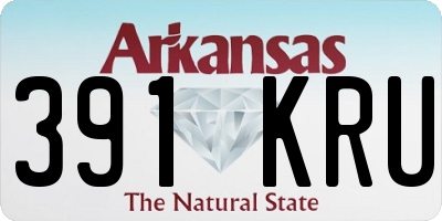 AR license plate 391KRU