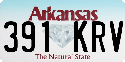 AR license plate 391KRV