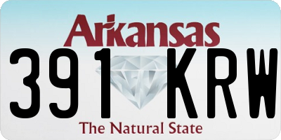 AR license plate 391KRW