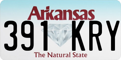 AR license plate 391KRY