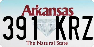AR license plate 391KRZ