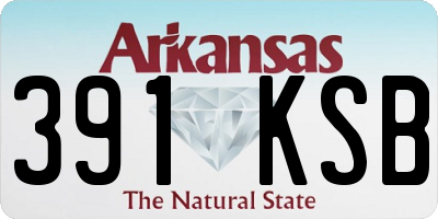 AR license plate 391KSB