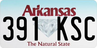 AR license plate 391KSC