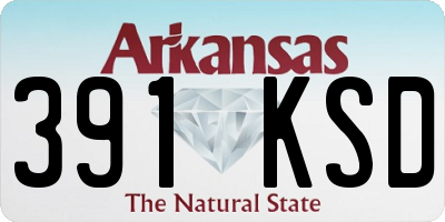 AR license plate 391KSD