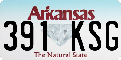 AR license plate 391KSG
