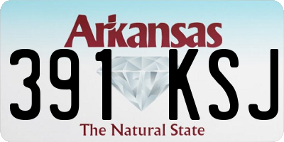 AR license plate 391KSJ
