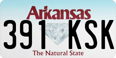 AR license plate 391KSK