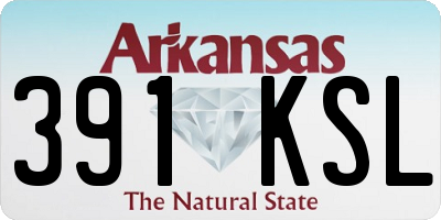 AR license plate 391KSL