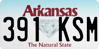 AR license plate 391KSM