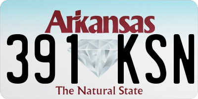 AR license plate 391KSN