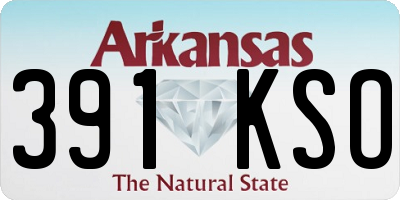 AR license plate 391KSO