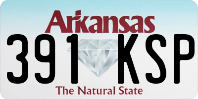 AR license plate 391KSP