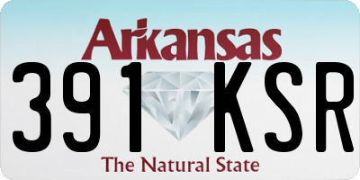 AR license plate 391KSR