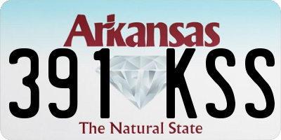 AR license plate 391KSS