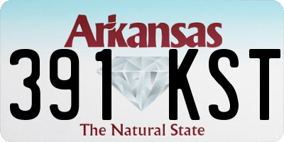AR license plate 391KST
