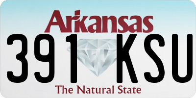 AR license plate 391KSU