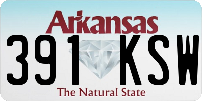 AR license plate 391KSW