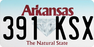 AR license plate 391KSX