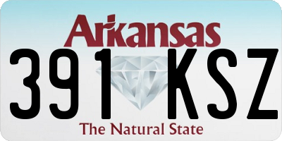AR license plate 391KSZ