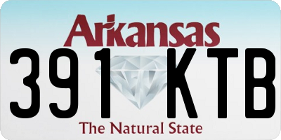 AR license plate 391KTB