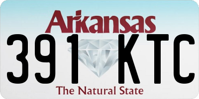 AR license plate 391KTC
