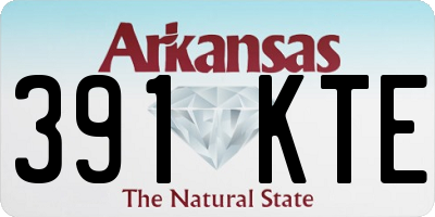 AR license plate 391KTE