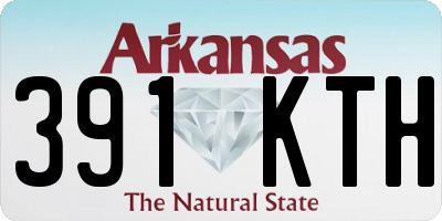 AR license plate 391KTH
