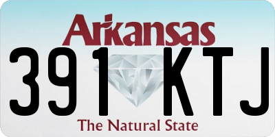 AR license plate 391KTJ
