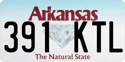 AR license plate 391KTL