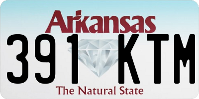 AR license plate 391KTM