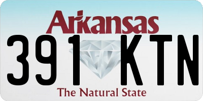 AR license plate 391KTN