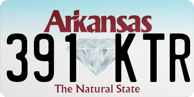 AR license plate 391KTR