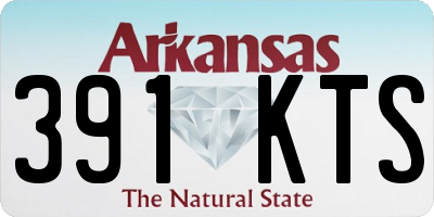 AR license plate 391KTS