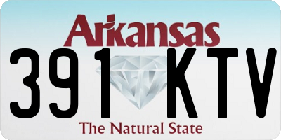 AR license plate 391KTV