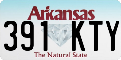 AR license plate 391KTY