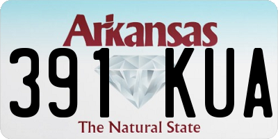 AR license plate 391KUA