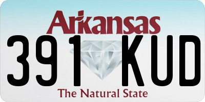 AR license plate 391KUD
