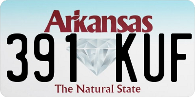 AR license plate 391KUF