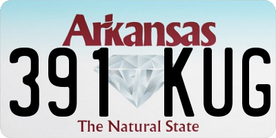 AR license plate 391KUG
