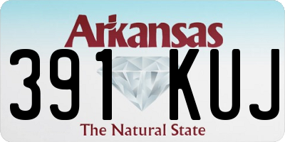 AR license plate 391KUJ