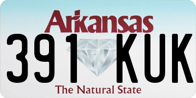 AR license plate 391KUK