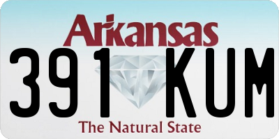 AR license plate 391KUM