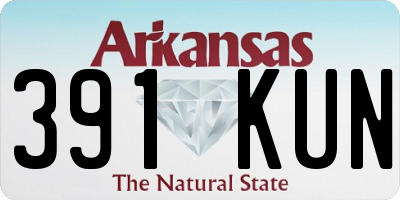 AR license plate 391KUN