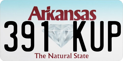 AR license plate 391KUP