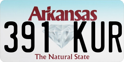 AR license plate 391KUR