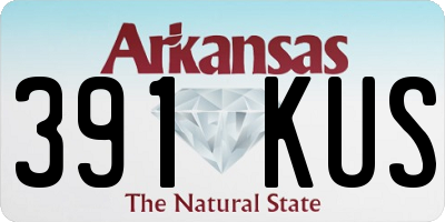 AR license plate 391KUS