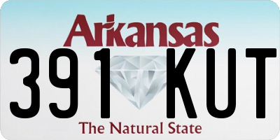 AR license plate 391KUT